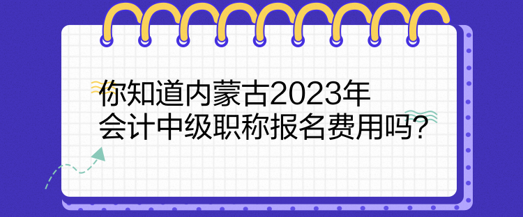 你知道內(nèi)蒙古2023年會計中級職稱報名費用嗎？