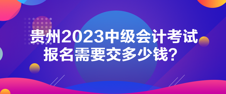 貴州2023中級(jí)會(huì)計(jì)考試報(bào)名需要交多少錢？