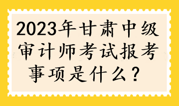 2023年甘肅中級審計師考試報考事項是什么？