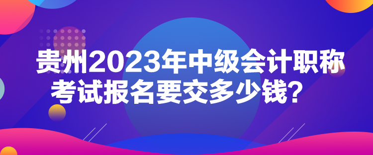 貴州2023年中級(jí)會(huì)計(jì)職稱考試報(bào)名要交多少錢？