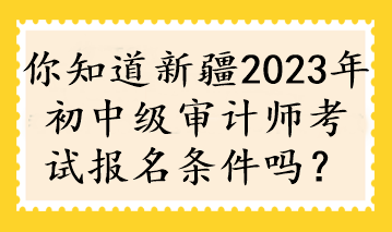 你知道新疆2023年初中級審計師考試報名條件嗎？