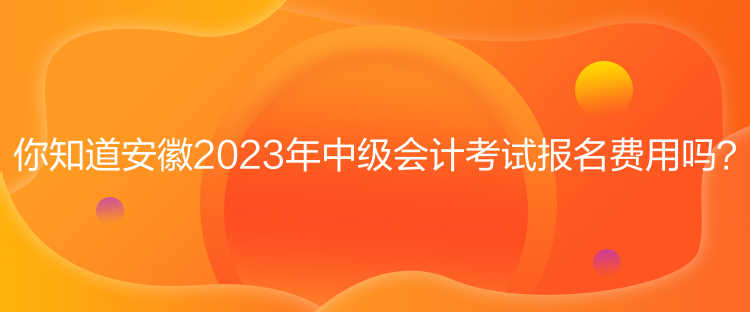 你知道安徽2023年中級會計考試報名費(fèi)用嗎？