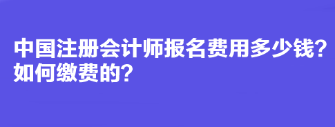 中國注冊會計師報名費用多少錢？如何繳費的？