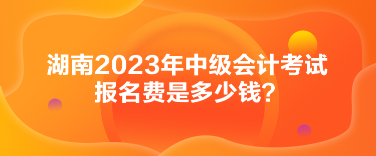 湖南2023年中級(jí)會(huì)計(jì)考試報(bào)名費(fèi)是多少錢？