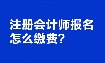 注冊(cè)會(huì)計(jì)師報(bào)名怎么繳費(fèi)？