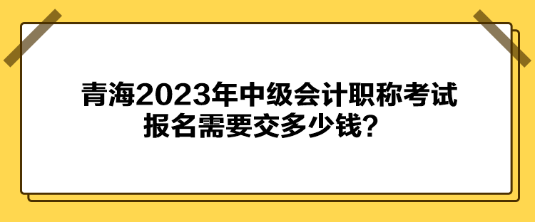 青海2023年中級(jí)會(huì)計(jì)職稱考試報(bào)名需要交多少錢？