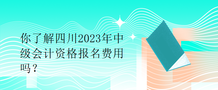 你了解四川2023年中級(jí)會(huì)計(jì)資格報(bào)名費(fèi)用嗎？