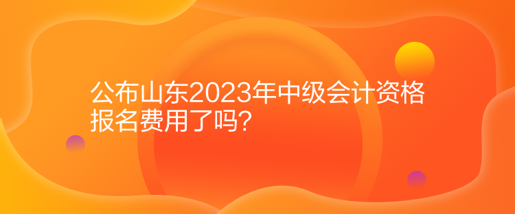 公布山東2023年中級會計資格報名費用了嗎？