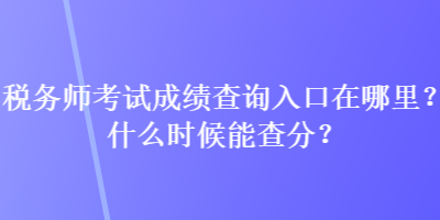 稅務(wù)師考試成績查詢?nèi)肟谠谀睦?？什么時候能查分？