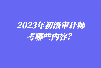 2023年初級審計師考哪些內(nèi)容？