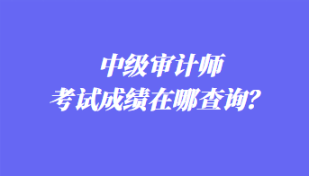 中級(jí)審計(jì)師考試成績(jī)?cè)谀牟樵?xún)？