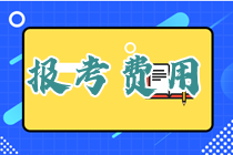 2023年四川初級經(jīng)濟師報名費用：每人每科61元