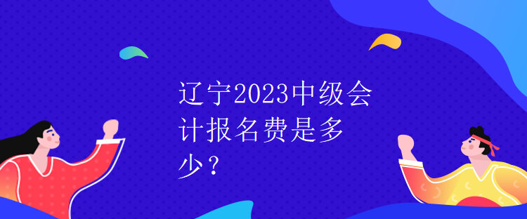 遼寧2023中級(jí)會(huì)計(jì)報(bào)名費(fèi)是多少？