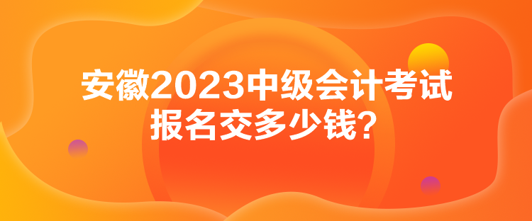 安徽2023中級(jí)會(huì)計(jì)考試報(bào)名交多少錢？