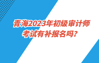 青海2023年初級審計師考試有補報名嗎？