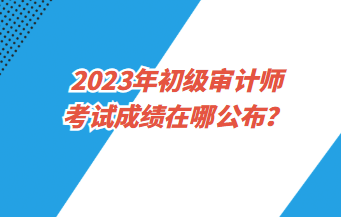 2023年初級審計師考試成績在哪公布？