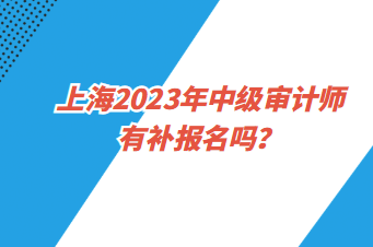 上海2023年中級(jí)審計(jì)師有補(bǔ)報(bào)名嗎？