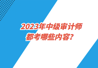 2023年中級審計師都考哪些內容？