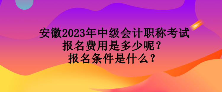 安徽2023年中級會計職稱考試報名費(fèi)用是多少呢？報名條件是什么？