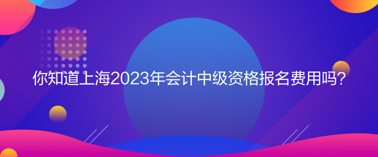 你知道上海2023年會計中級資格報名費用嗎？