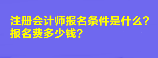 2023年注冊(cè)會(huì)計(jì)師報(bào)名條件是什么？報(bào)名費(fèi)多少錢？