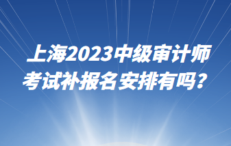 上海2023中級審計師考試補報名安排有嗎？