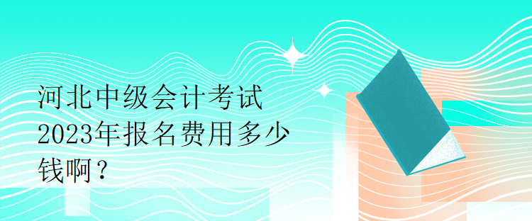 河北中級會計考試2023年報名費用多少錢啊？