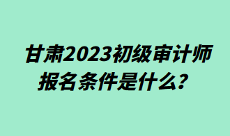 甘肅2023初級審計(jì)師報(bào)名條件是什么？