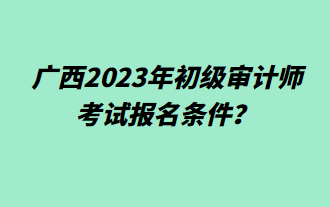 廣西2023年初級審計(jì)師考試報(bào)名條件？