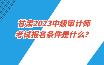 甘肅2023中級審計師考試報名條件是什么？