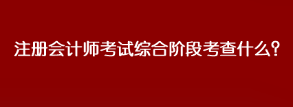 注冊會計師考試綜合階段考查什么？