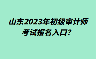 山東2023年初級審計師考試報名入口？