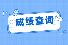 2023年cpa考試什么時(shí)候公布成績(jī)？成績(jī)查詢官網(wǎng)是什么？