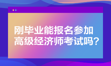 剛畢業(yè)能報名參加高級經(jīng)濟(jì)師考試嗎？