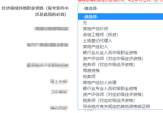 經(jīng)濟(jì)領(lǐng)域其他職業(yè)資格選擇