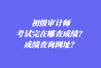 初級(jí)審計(jì)師考試完在哪查成績(jī)？成績(jī)查詢(xún)網(wǎng)址？