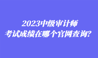 2023中級審計師考試成績在哪個官網(wǎng)查詢？