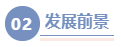 注會(huì)、經(jīng)濟(jì)師&稅務(wù)師可以報(bào)考2024年高級(jí)會(huì)計(jì)師嗎？