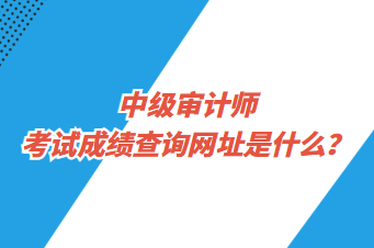 中級(jí)審計(jì)師考試成績(jī)查詢網(wǎng)址是什么？