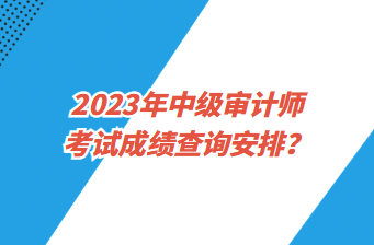 2023年中級審計師考試成績查詢安排？