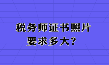 稅務(wù)師證書照片要求多大？