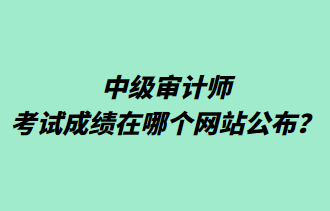 中級(jí)審計(jì)師考試成績(jī)?cè)谀膫€(gè)網(wǎng)站公布？