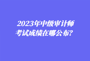 2023年中級審計師考試成績在哪公布？