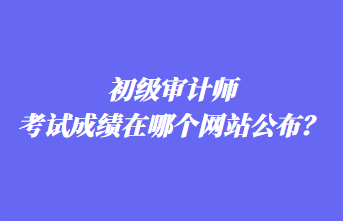 初級(jí)審計(jì)師考試成績(jī)?cè)谀膫€(gè)網(wǎng)站公布？