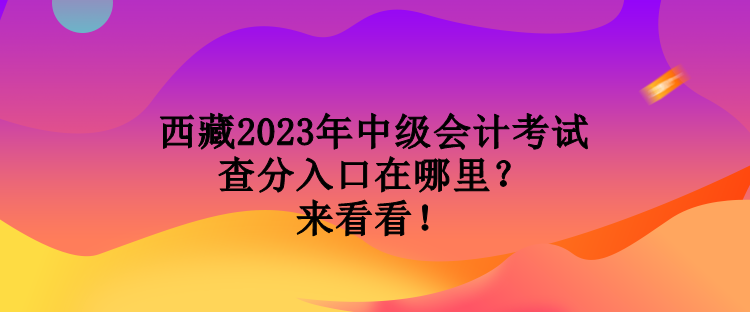 西藏2023年中級會計考試查分入口在哪里？來看看！