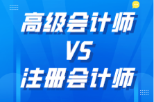 高級(jí)會(huì)計(jì)師和注冊(cè)會(huì)計(jì)師哪個(gè)更厲害？