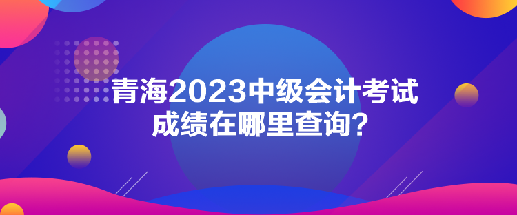 青海2023中級(jí)會(huì)計(jì)考試成績(jī)?cè)谀睦锊樵?xún)？