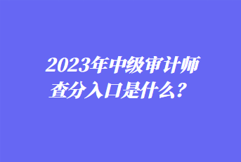 2023年中級審計師查分入口是什么？