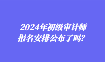 2024年初級審計師報名安排公布了嗎？