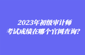 2023年初級(jí)審計(jì)師考試成績(jī)?cè)谀膫€(gè)官網(wǎng)查詢？